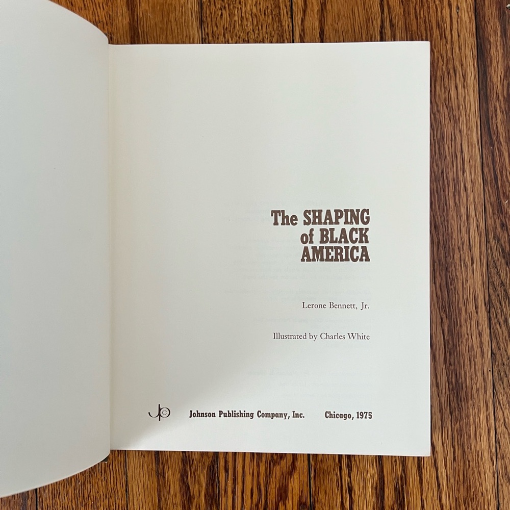 The Shaping of Black America Book - Picture 3 of 7